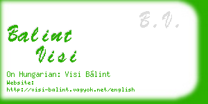balint visi business card